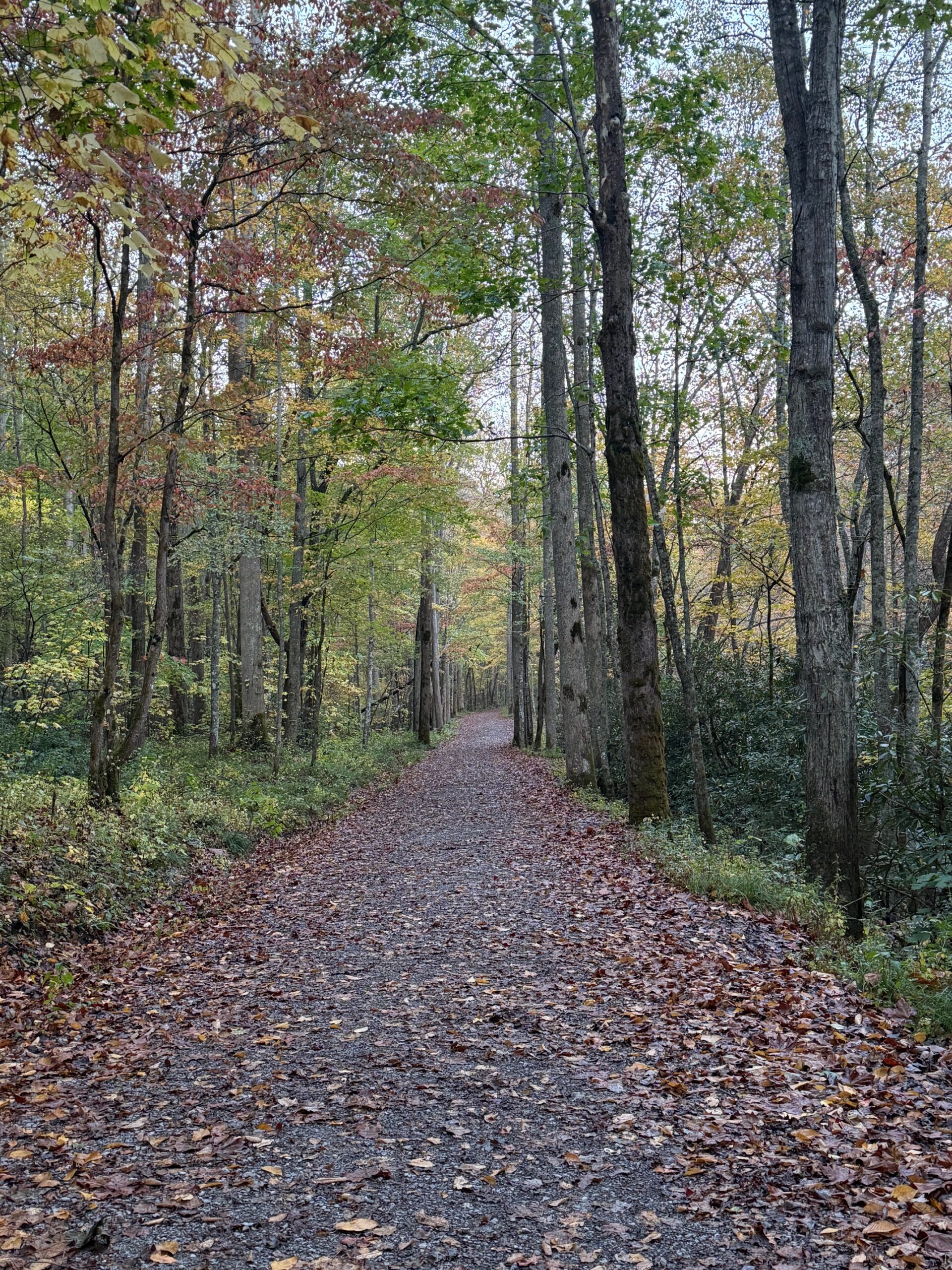 Every Conscious Person Is Operating on Faith